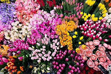 2025年CJ展8月1日举办 《金庸群侠传》等游戏将参展