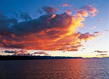 益智游戏《灵活脑学校：一起伸展大脑》发布新概览预告